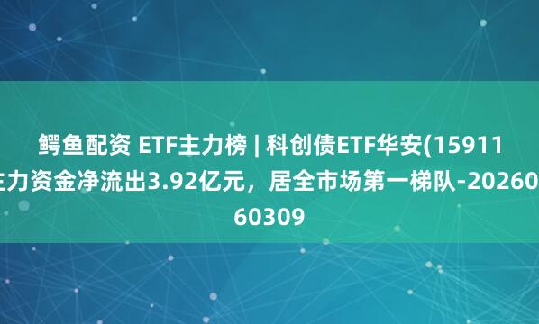 鳄鱼配资 ETF主力榜 | 科创债ETF华安(159115)主力资金净流出3.92亿元，居全市场第一梯队-20260309